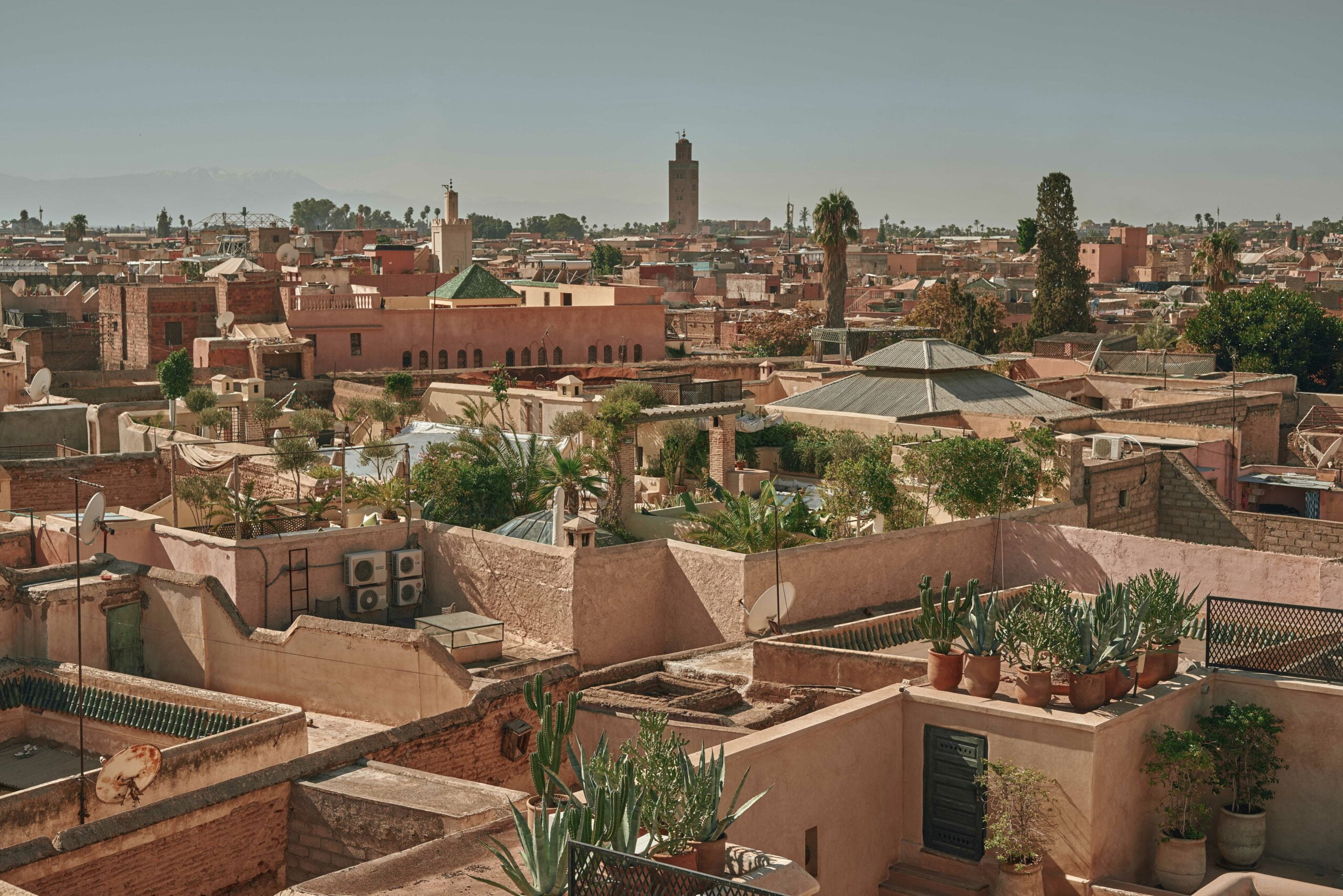 Discover Marrakech Excursion Activities